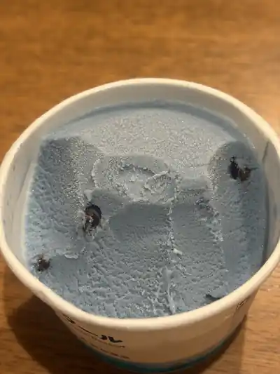 無印良品 チョコミントクールアイスの青いアイスとチョコ粒
