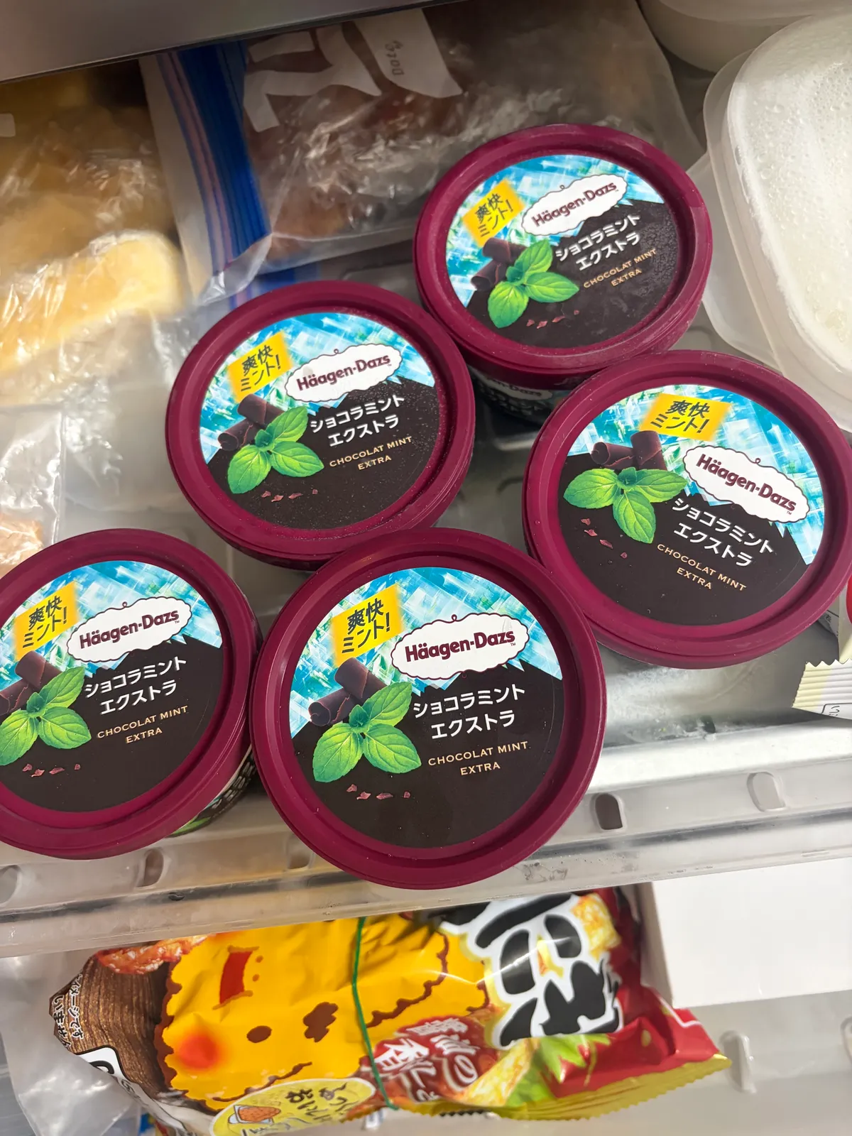 ハーゲンダッツのショコラミント エクストラが好きすぎて冷凍庫に常時5個ある